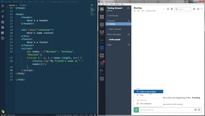 Selecciona 'Código o fragmento de texto'.