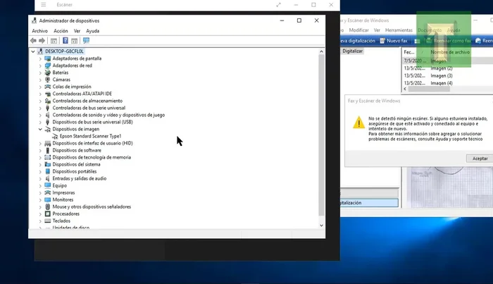 Localizar 'Dispositivos de imagen' y el controlador de tu escáner (ej: Epson Standard Scanner Type 1).