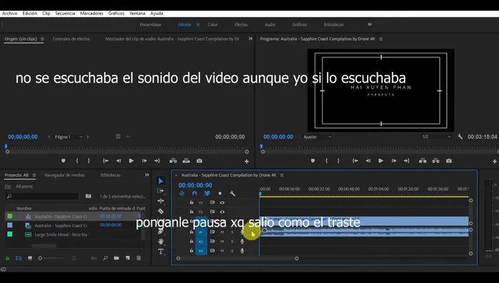 Silenciar el audio original del vídeo haciendo clic en el icono de altavoz en la pista de audio.