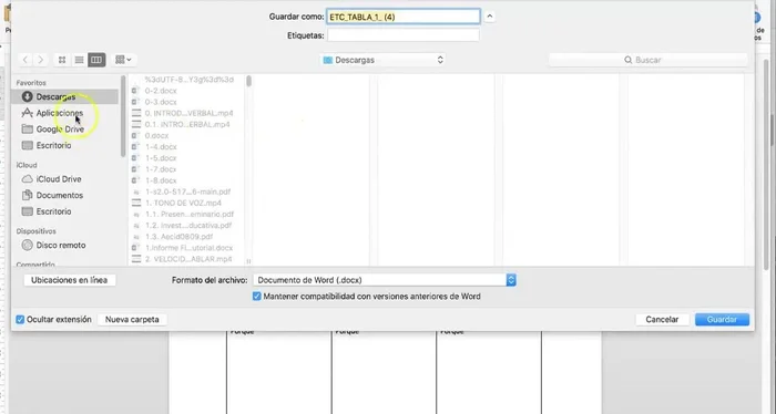 Guardar el documento en tu computadora. Identificalo claramente (ej: con tu apellido).