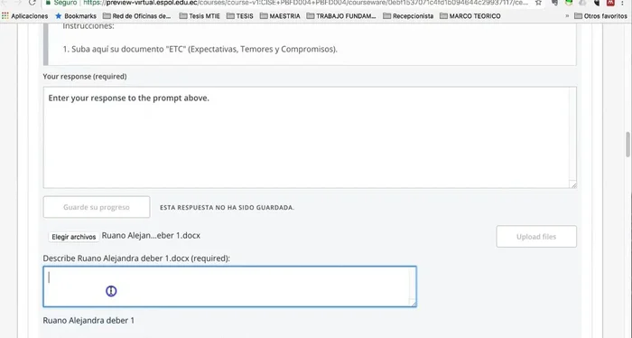 Subir el archivo a la plataforma.