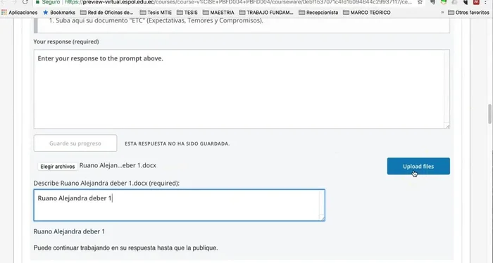 Subir el archivo a la plataforma.