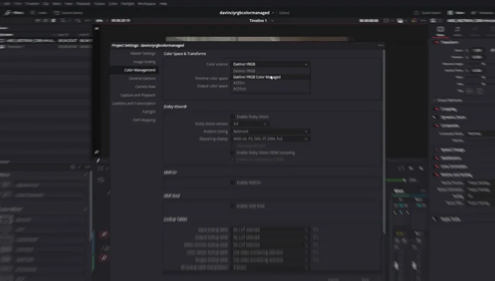 Seleccionar DaVinci White Gamut Intermediate para el Timeline Color Space y Rec.709 Gamma 2.4 para el Output Color Space.