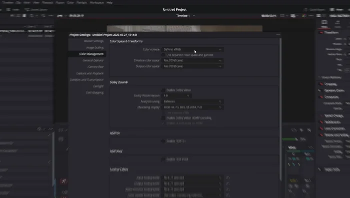 En Timeline Color Space, seleccionar DaVinci White Gamut Intermediate, y en Output Color Space, seleccionar Rec.709 Gamma 2.4.