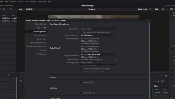 En Timeline Color Space, seleccionar DaVinci White Gamut Intermediate, y en Output Color Space, seleccionar Rec.709 Gamma 2.4.