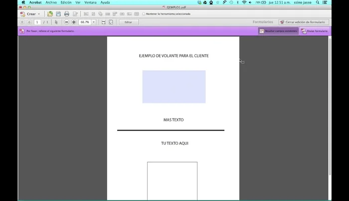 Guarda el PDF en la ubicación deseada.