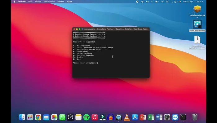 Instalar OpenCore USB en el disco duro (opción 2).
