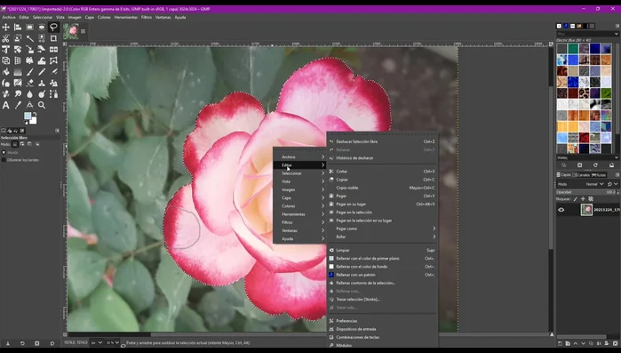Pegar la selección en la nueva capa (Control + V o Comando + V).