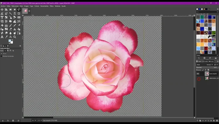 Pegar la selección en la nueva capa (Control + V o Comando + V).