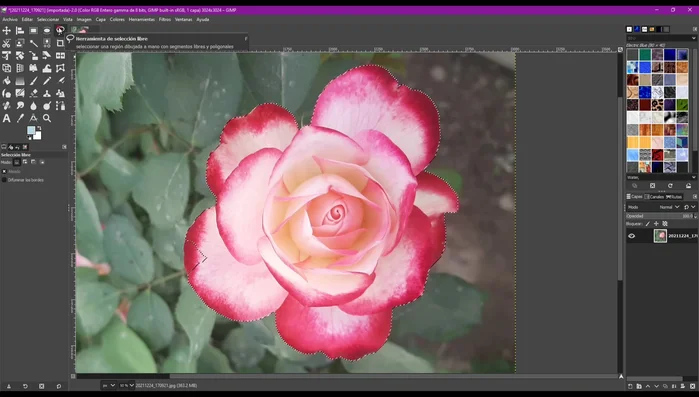 Si la selección no es perfecta, usar la herramienta "Selección Libre" (manteniendo pulsada la tecla Shift) para añadir o quitar áreas de la selección.