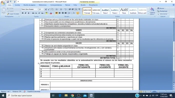 Llenar la sección de ítems a mejorar y observaciones.
