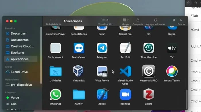 Encontrar la aplicación Zoom (orden alfabético).
