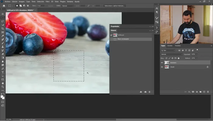 Selección Rápida: Permite pintar una selección de forma libre y rápida.