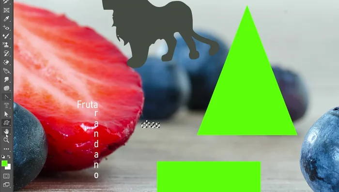 Herramienta Rotar Vista: Gira la vista del lienzo.