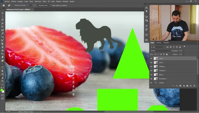 Herramienta Rotar Vista: Gira la vista del lienzo.