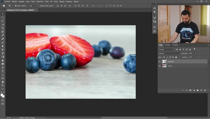 Herramienta Rotar Vista: Gira la vista del lienzo.