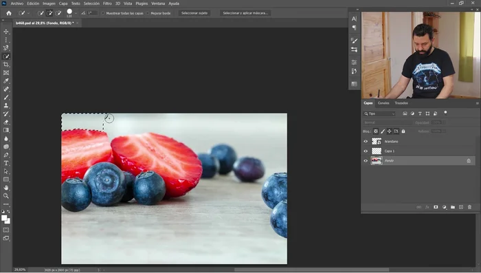 Selección Rápida: Permite pintar una selección de forma libre y rápida.