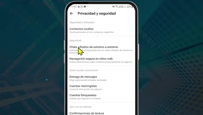 Confirma la acción al leer la advertencia sobre la pérdida de mensajes sin respaldo y pulsa 'Continuar'.
