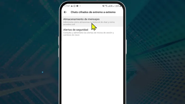 Confirma la acción al leer la advertencia sobre la pérdida de mensajes sin respaldo y pulsa 'Continuar'.