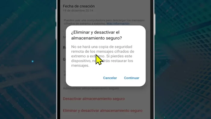 Confirma la acción al leer la advertencia sobre la pérdida de mensajes sin respaldo y pulsa 'Continuar'.