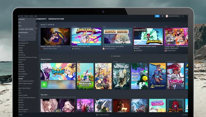 Inicia sesión de nuevo en tu cuenta de Steam.