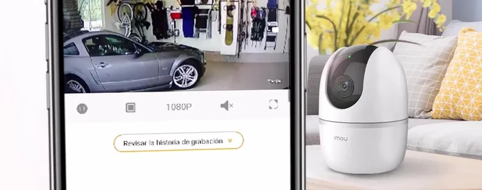 Ajustar la configuración de notificaciones del teléfono para permitir las alertas de la aplicación.