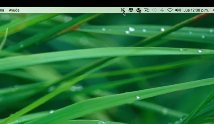 Selecciona 'Preferencias'.