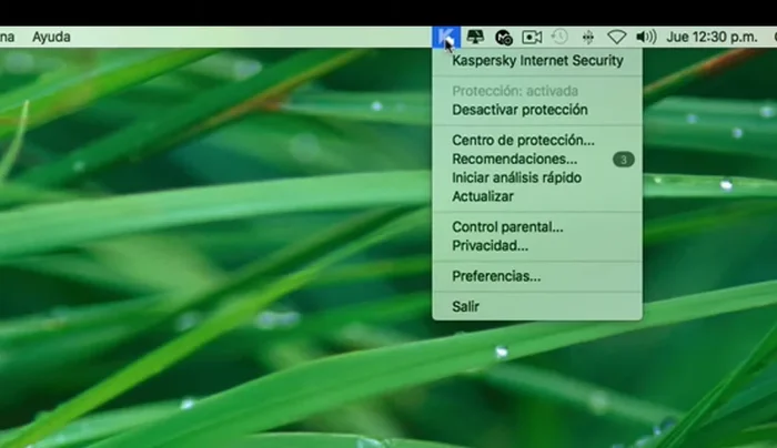 Selecciona 'Preferencias'.