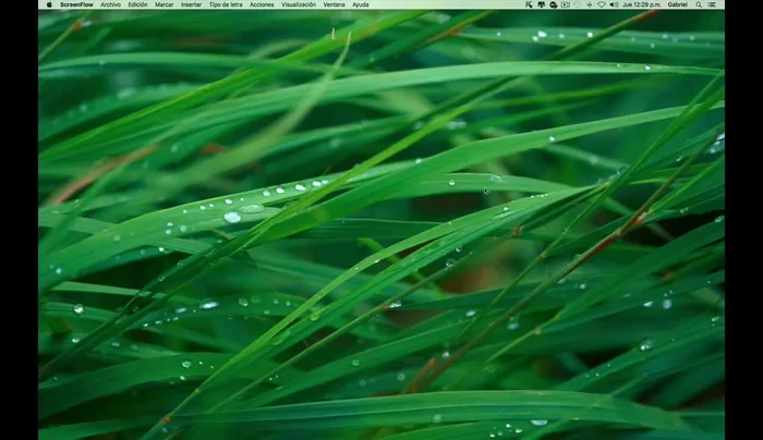 Selecciona 'Preferencias'.