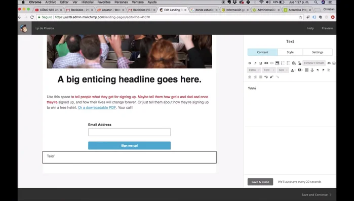 Publicar la landing page. Mailchimp proporcionará un enlace a la página publicada.