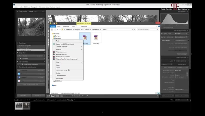 Crea una copia de seguridad de tus fotos en una carpeta separada (simulando un disco duro externo).
