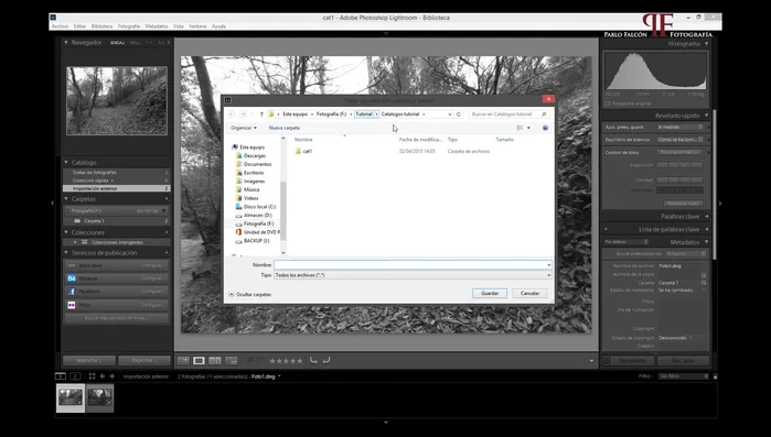 Si se pierde el catálogo, importa las fotos de la copia de seguridad al nuevo catálogo.