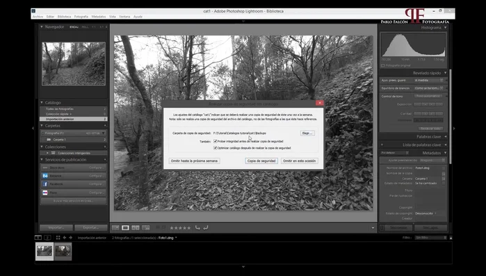Selecciona una carpeta de copia de seguridad en un disco duro diferente al que contiene el catálogo.