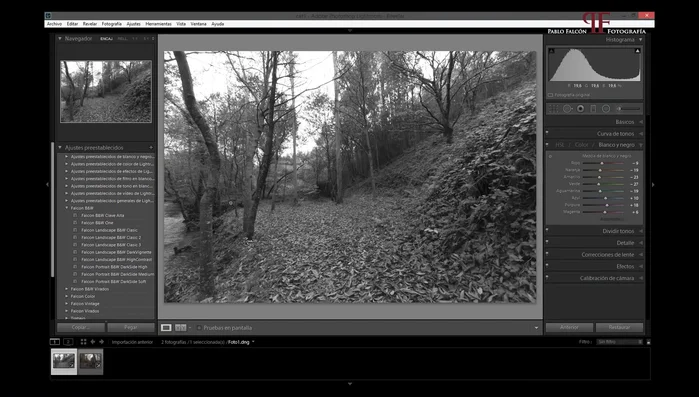 Guarda las fotografías (Ctrl+S o 'Metadatos' > 'Guardar metadatos en archivo').