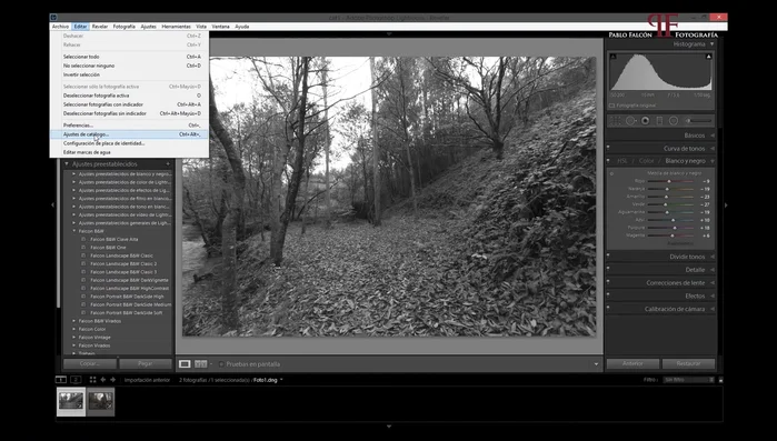 Guarda las fotografías (Ctrl+S o 'Metadatos' > 'Guardar metadatos en archivo').