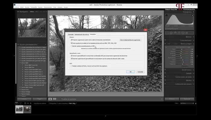 Guarda las fotografías (Ctrl+S o 'Metadatos' > 'Guardar metadatos en archivo').
