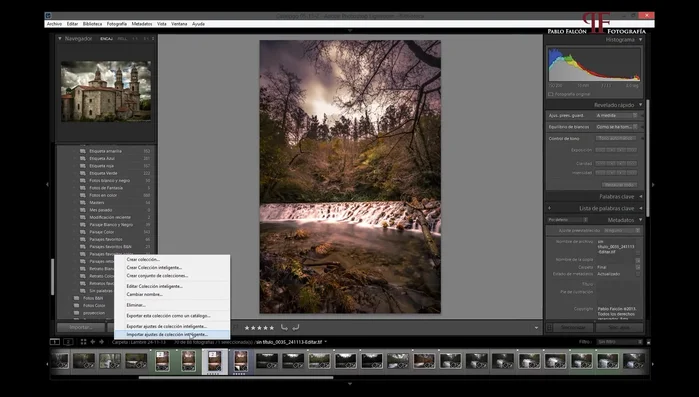 Para importar, ve a 'Colecciones inteligentes' y selecciona 'Importar ajustes de colección inteligente'.