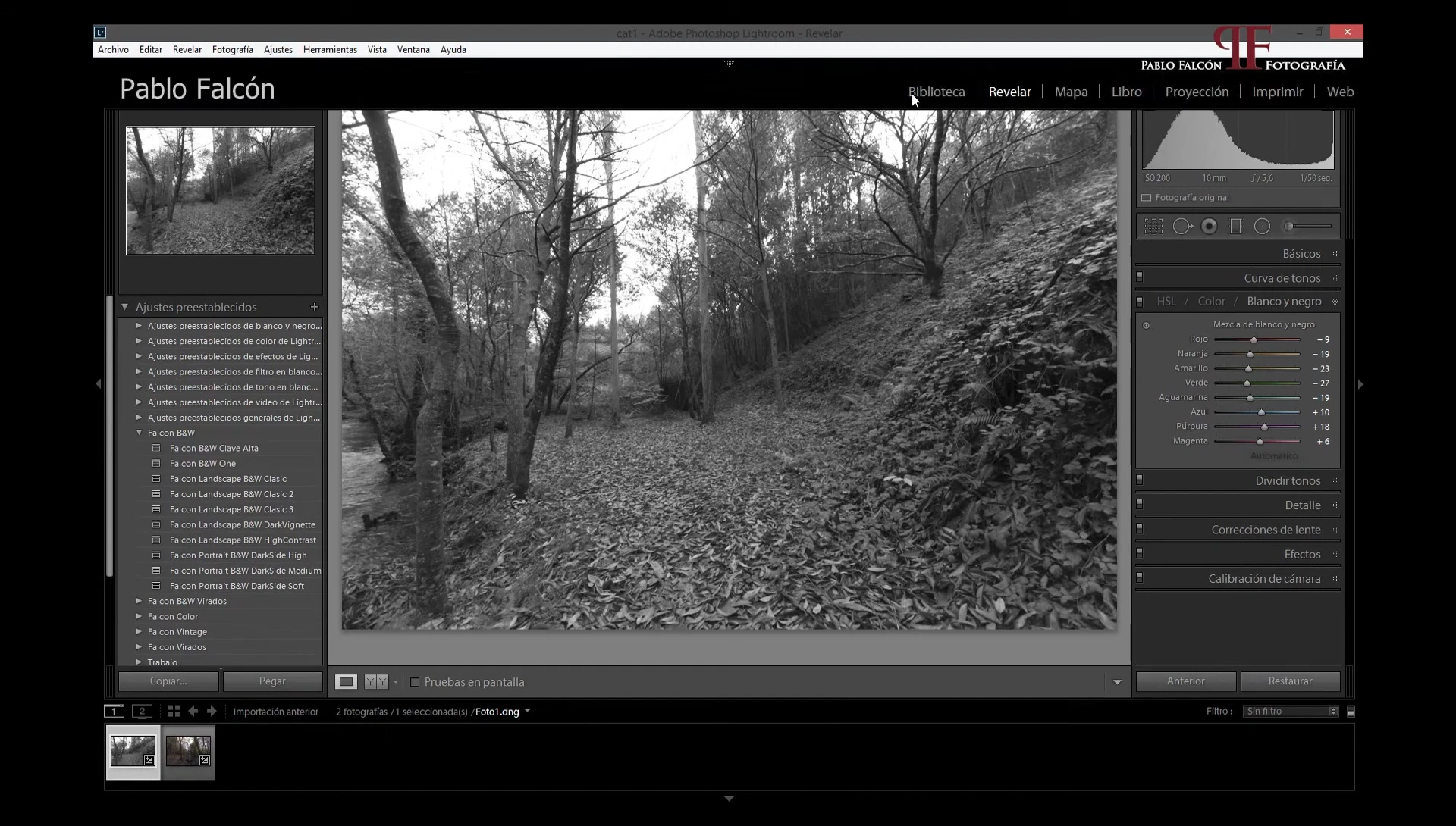 Copia de seguridad de Lightroom: ¡Protege tus ajustes y colecciones!