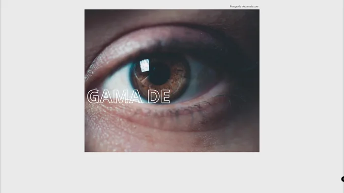 Comprende el espectro de color visible y sus limitaciones. Entendemos que estamos limitados a lo que podemos ver.