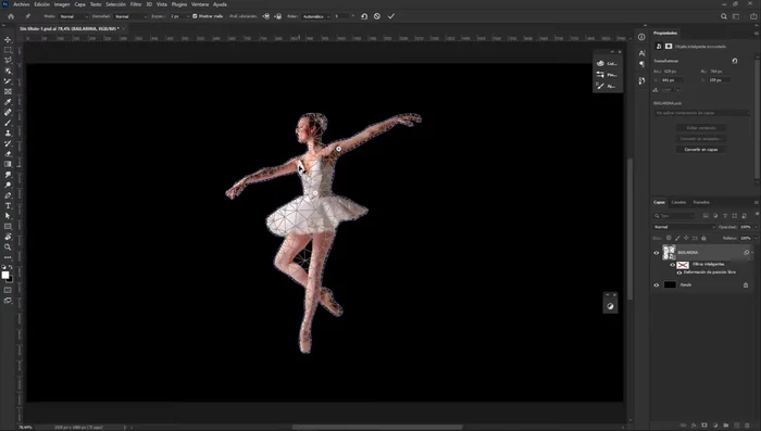 Colocar pines estratégicamente en las articulaciones (para figuras humanas) o en puntos clave de la imagen.