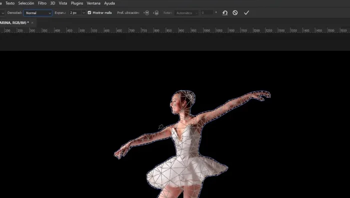 Ajustar el tamaño de los píxeles entre la malla y la imagen para controlar la expansión de la malla.