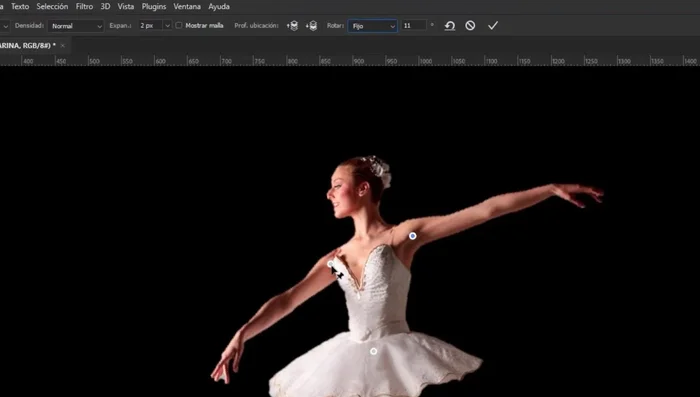 Fijar o dejar en automático los pines para controlar el movimiento de ciertas partes de la imagen.