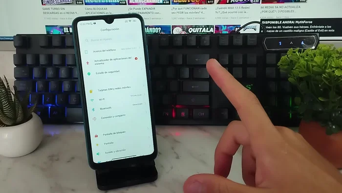 Ajustar opciones de desarrollador (animaciones y buffer)