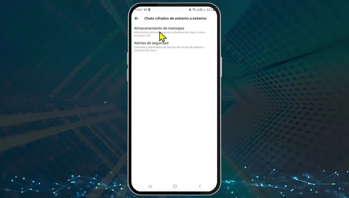 Pulsa 'Activar el almacenamiento seguro'.