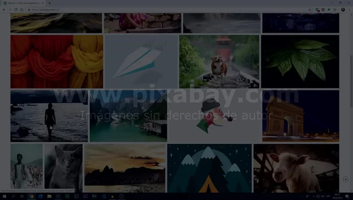 Abre las imágenes en Photoshop arrastrándolas al programa o usando 'Archivo > Importar' o 'Archivo > Abrir'.