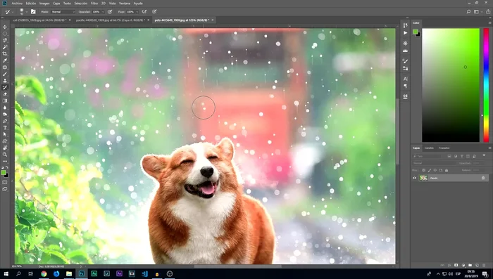 El borrador elimina partes de la imagen. Asegúrate de desbloquear la capa antes de usarla.