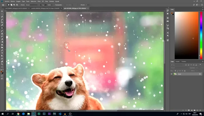 El parche ofrece una alternativa al pincel corrector puntual, permitiendo seleccionar un área y reemplazarla con una textura de otra zona.