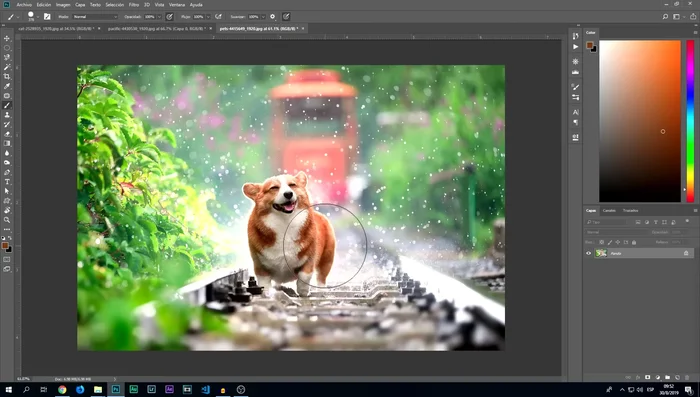 El borrador elimina partes de la imagen. Asegúrate de desbloquear la capa antes de usarla.