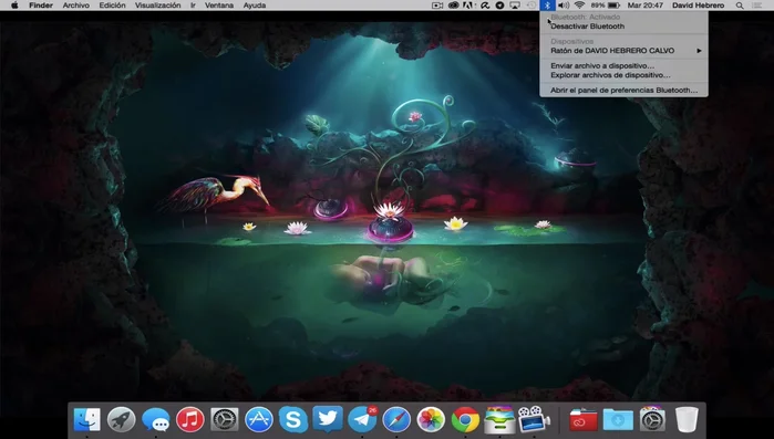 Desactiva el Wi-Fi si tienes conexión por cable (RJ45).