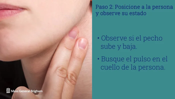 Si no hay respiración ni pulso, comenzar la RCP.